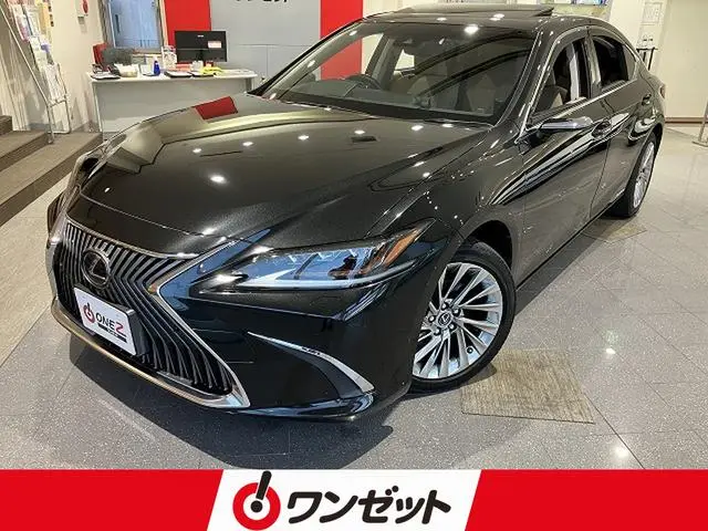 Lexus ES 2019, 20 503 км