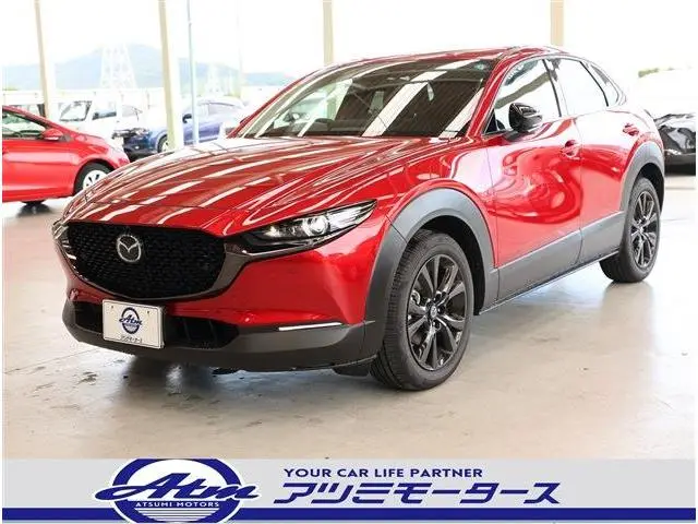Mazda CX-30 2026, 1 010 км
