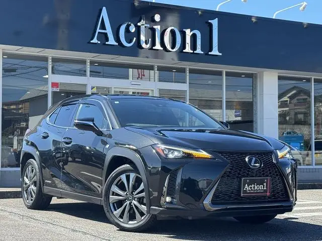 Lexus UX 2019, 91 045 км
