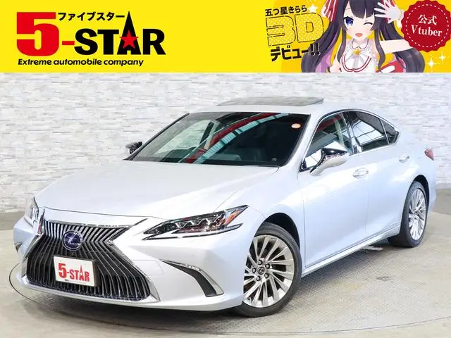 Lexus ES 2019, 123 857 км
