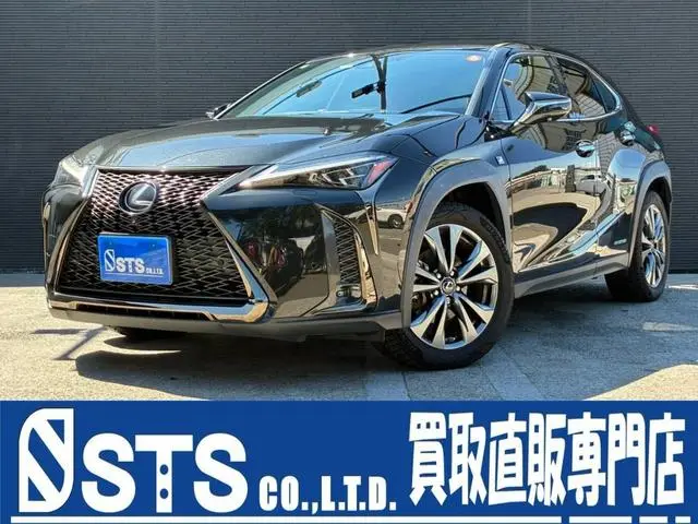 Lexus UX 2018, 54 653 км