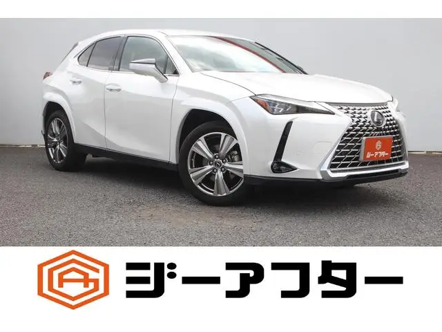 Lexus UX 2023, 64 325 км