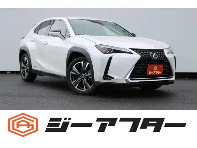 Lexus UX 2019, 23 865 км