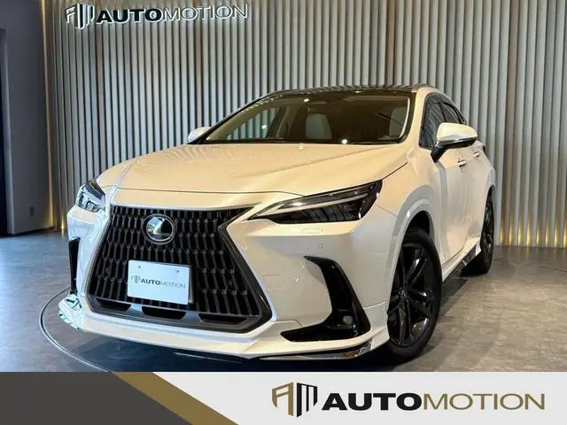 Lexus NX 2024, 14 813 км
