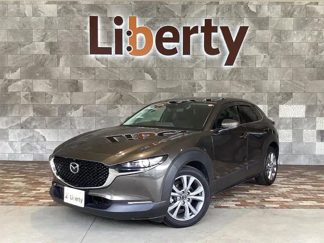 Mazda CX-30 2021, 59 506 км