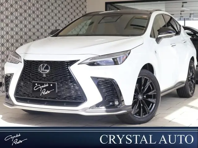 Lexus NX 2025, 10 697 км