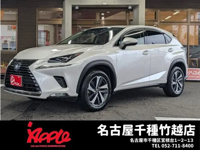 Lexus NX 2019, 70 542 км