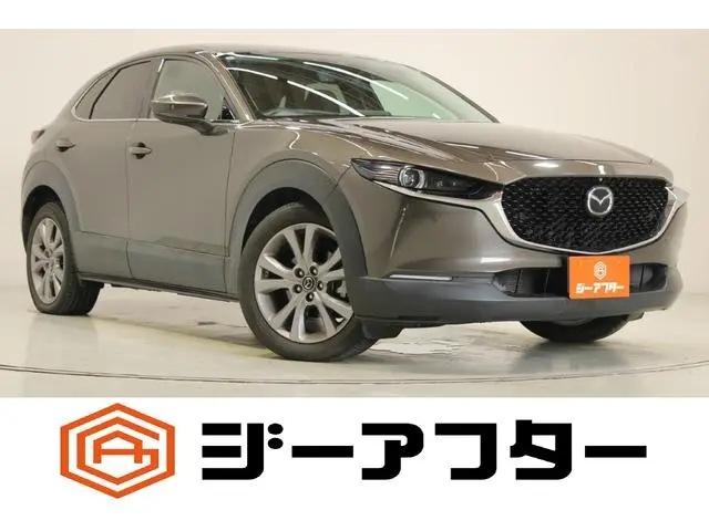 Mazda CX-30 2020, 24 860 км