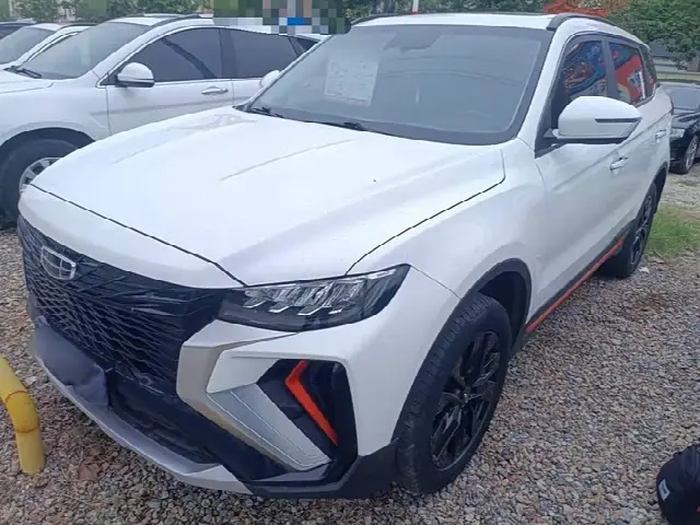 Geely Atlas 2022, 48 500 км