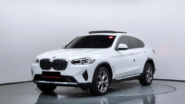 BMW X4 2018, 31 012 км