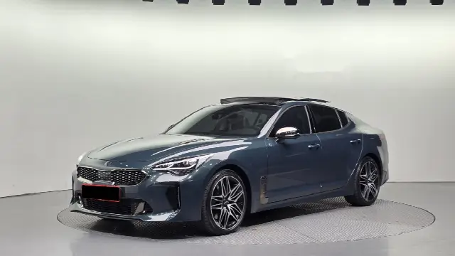 Kia Stinger 2020, 28 600 км