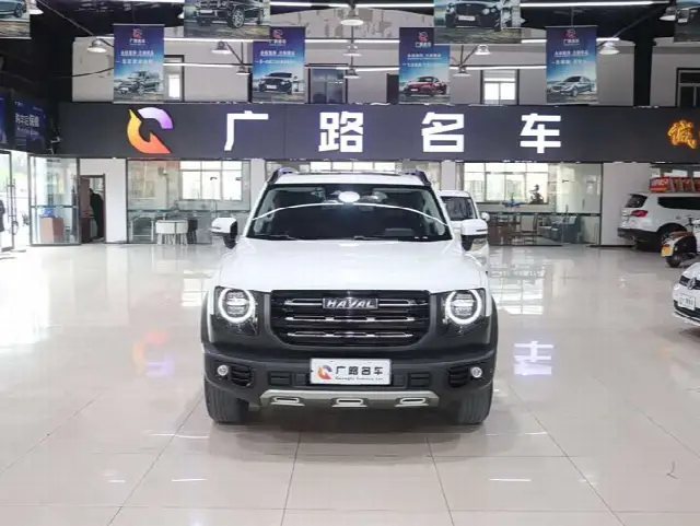 Haval Dargo 2021, 66 500 км