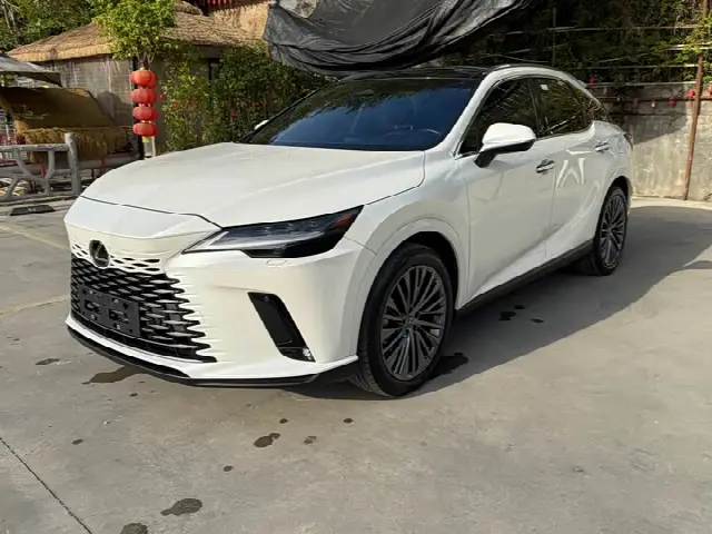 Lexus RX 2023, 8 800 км
