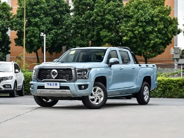 Great Wall King Kong Poer 2024, новый