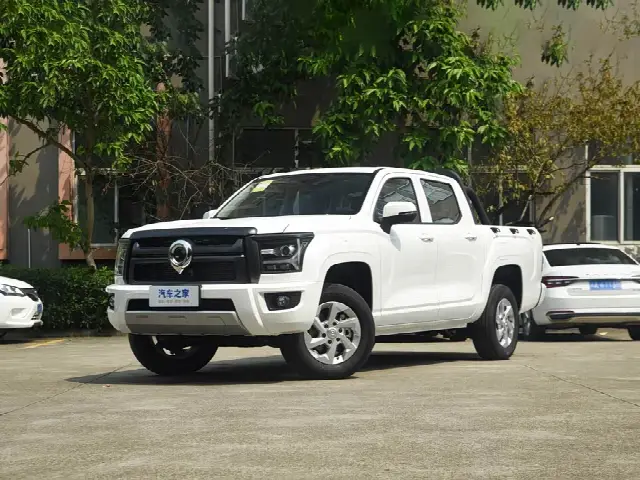 Great Wall King Kong Poer 2024, новый