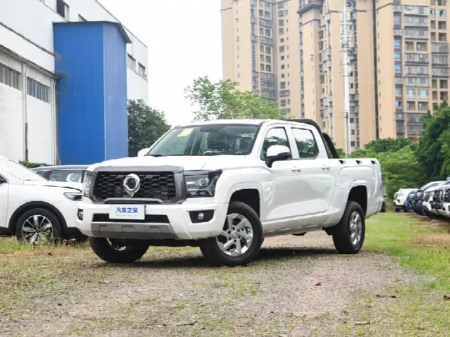 Great Wall King Kong Poer 2024, новый