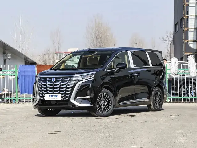 Denza D9 2025, новый