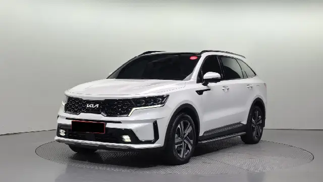 Kia Sorento 2020, 8 392 км