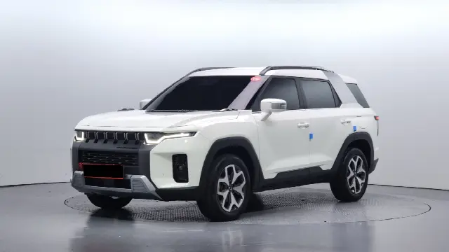 KGM Torres 2022, 30 539 км