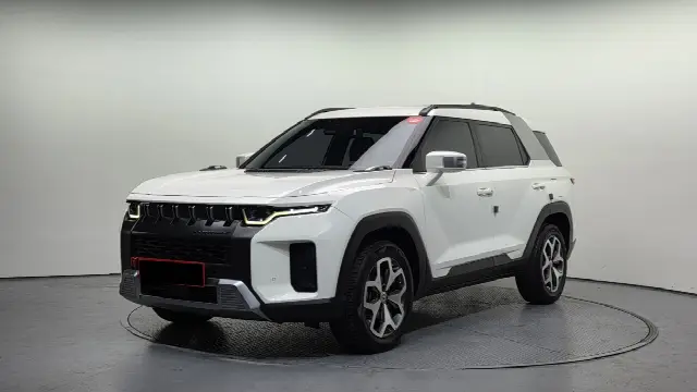 KGM Torres 2022, 67 773 км