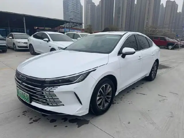 BYD Destroyer 05 2024, 19 800 км