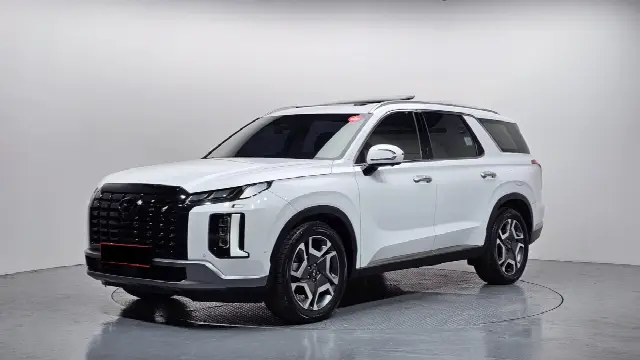 Hyundai Palisade 2022, 50 767 км