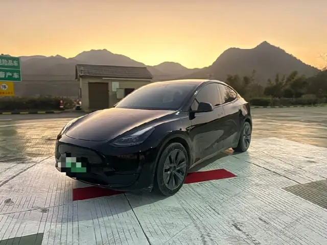 Tesla Model Y 2024, 30 000 км