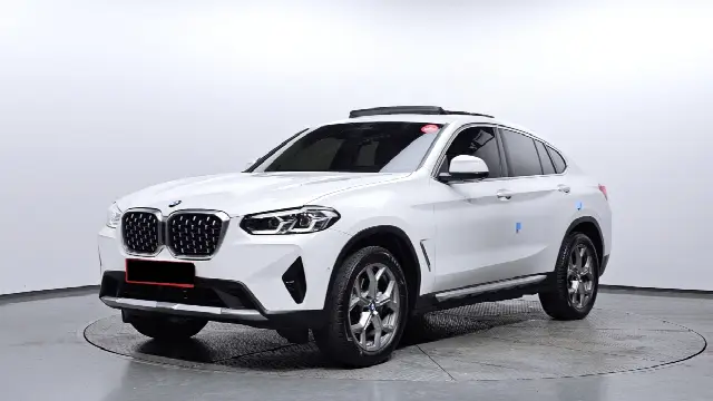 BMW X4 2018, 29 203 км