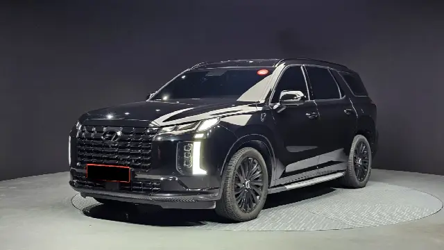 Hyundai Palisade 2022, 24 374 км