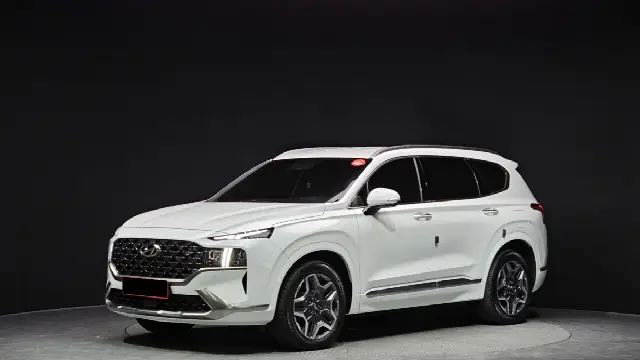 Hyundai Santa Fe 2020, 30 166 км