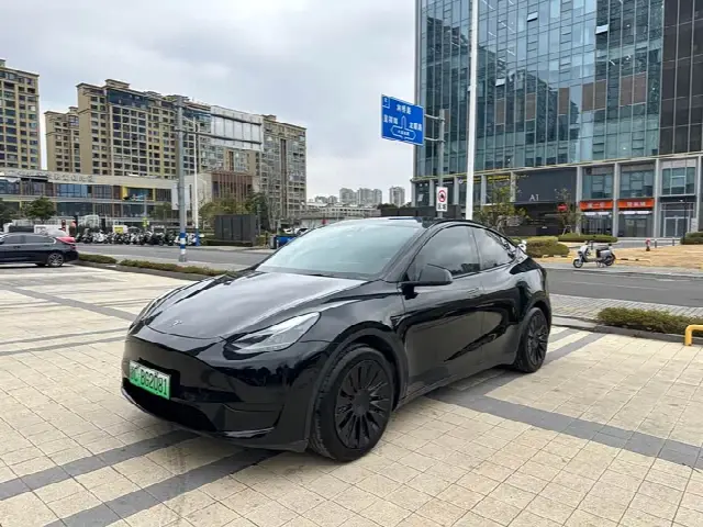 Tesla Model Y 2022, 97 000 км