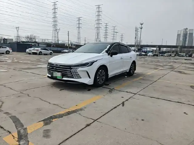 BYD Destroyer 05 2024, 21 000 км
