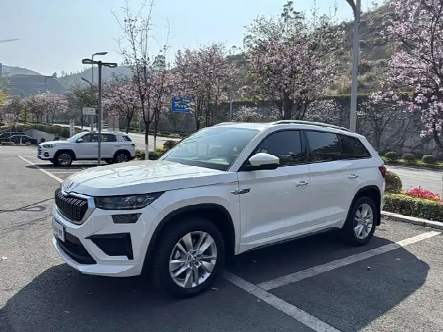 Skoda Kodiaq 2025, 14 000 км