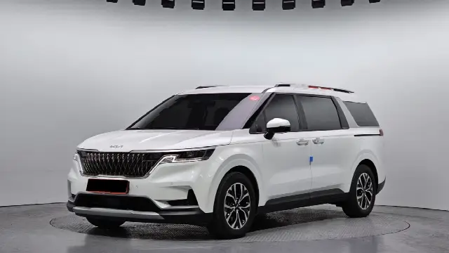 Kia Carnival 2020, 30 346 км