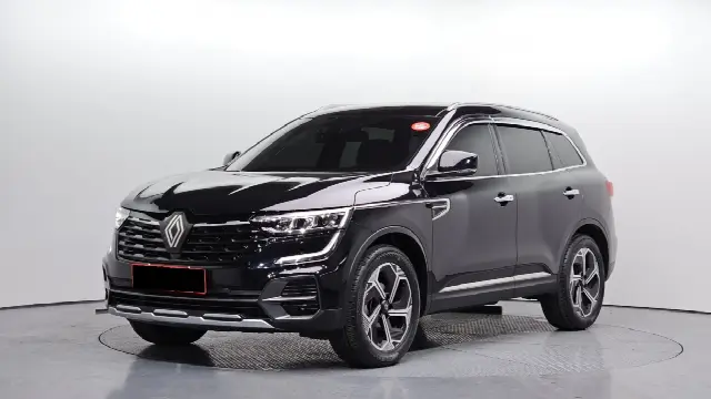 Renault QM6 2019, 74 179 км