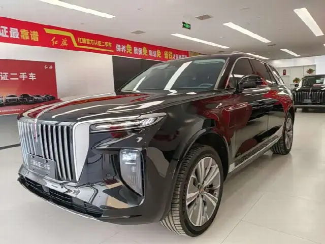 Hongqi E-HS9 2022, 10 700 км