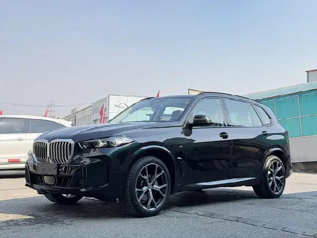 BMW X5 2025, 10 000 км