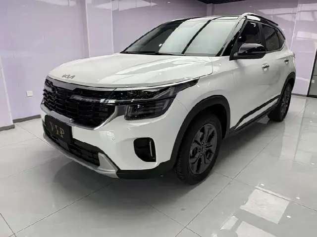 Kia Seltos 2023, 23 000 км