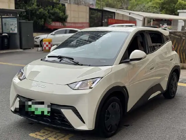 BYD Seagull 2024, 10 000 км