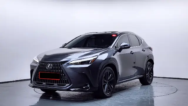 Lexus NX 2022, 100 293 км