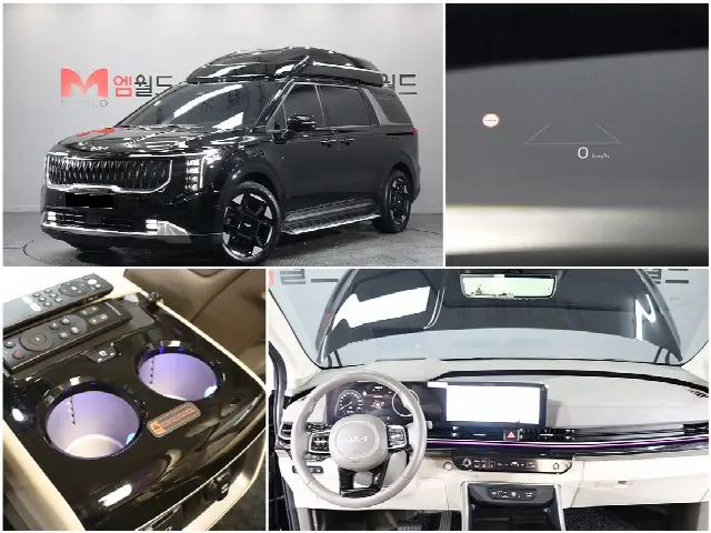 Kia Carnival 2023, 33 608 км
