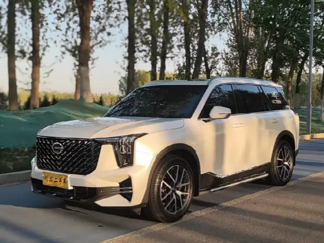 GAC Trumpchi GS8 2024, 16 000 км