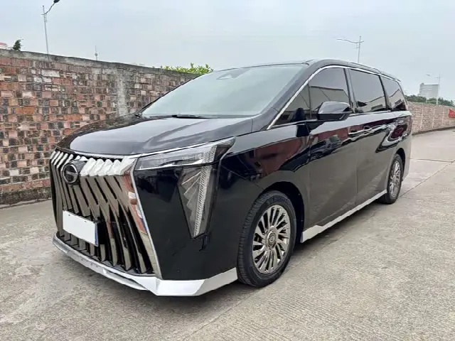 GAC Trumpchi M8 2023, 50 000 км