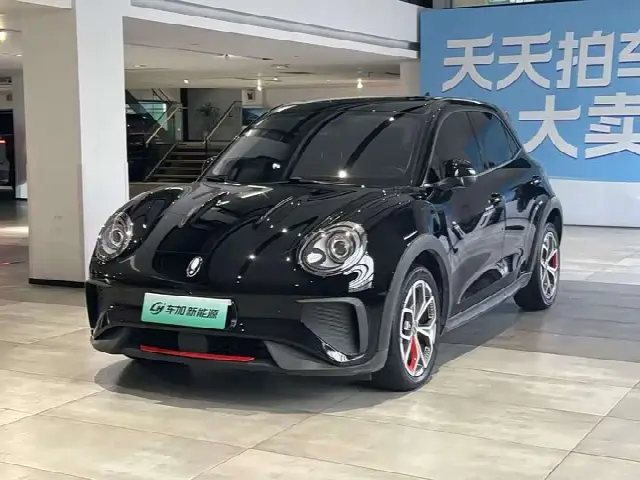 Ora Good Cat GT (03 GT) 2024, 52 300 км