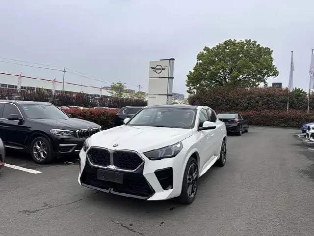 BMW X2 2024, 3 000 км