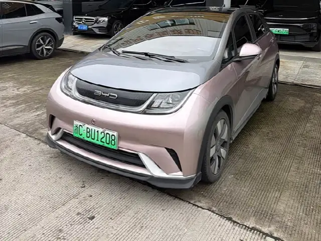 BYD Dolphin 2021, 30 000 км