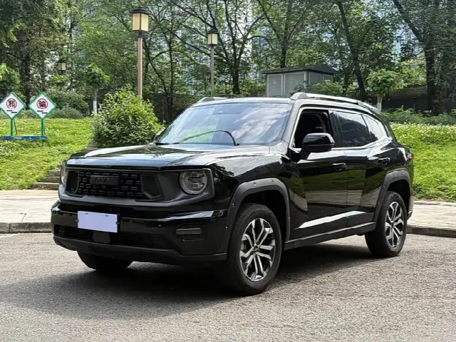 Haval H-Dog 2023, 20 000 км