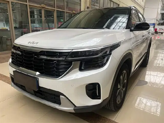 Kia Seltos 2023, 15 300 км