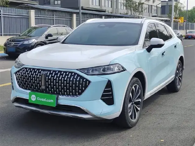 Wey Mocca 2021, 57 900 км