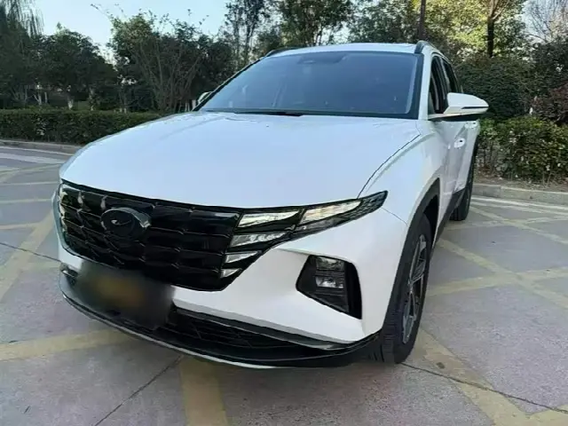 Hyundai Tucson L 2023, 17 900 км